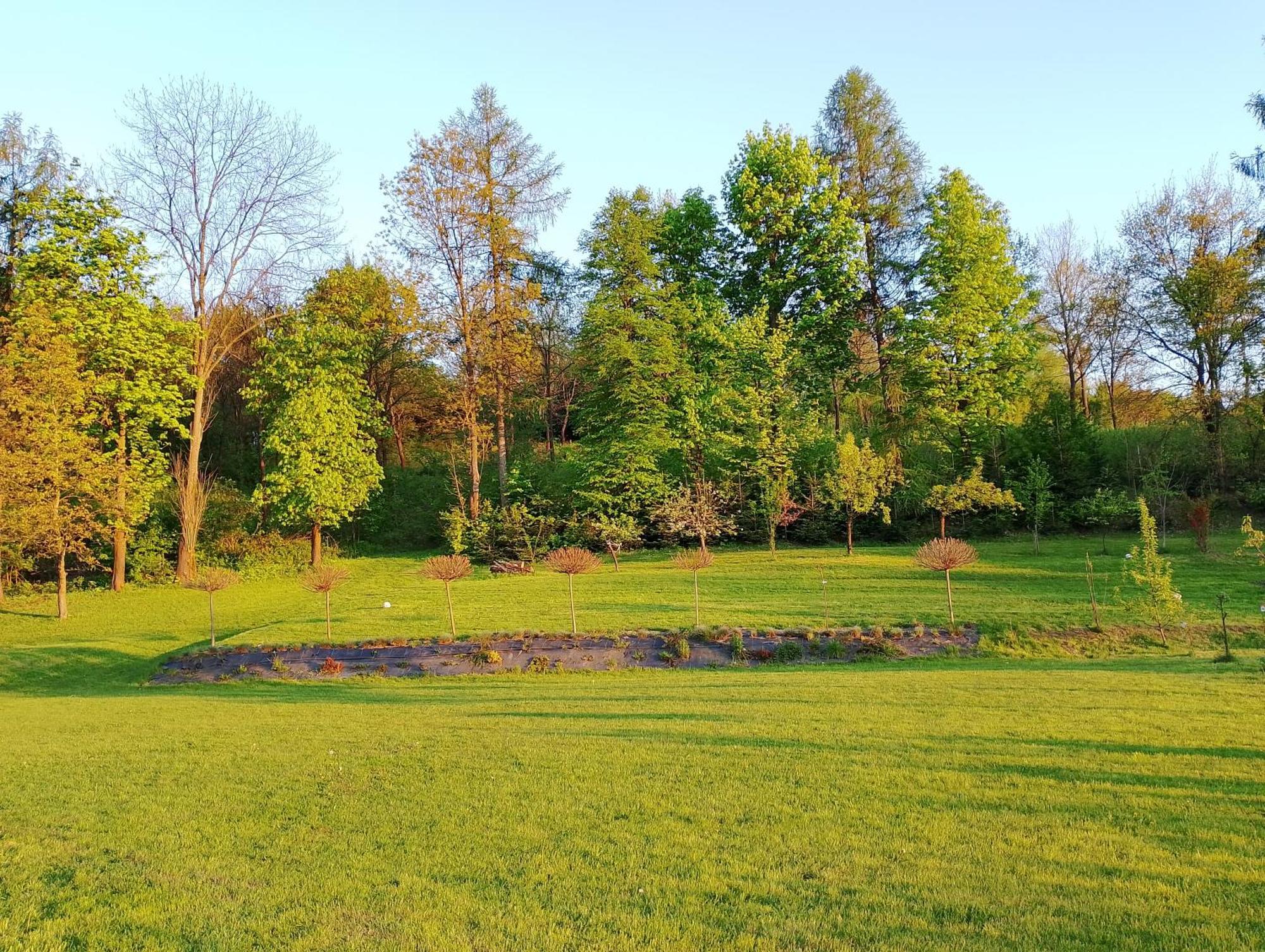 Apartament Z Ogrodem Przemyśl Buitenkant foto